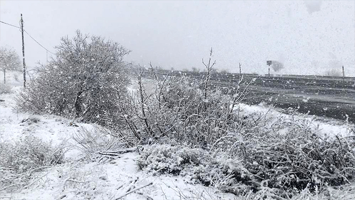 Elazığ yeniden beyaz gelinliği giydi