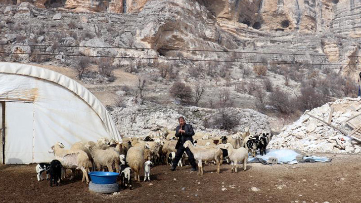 Bin 700 metre rakımdaki sürülerin kaval keyfi